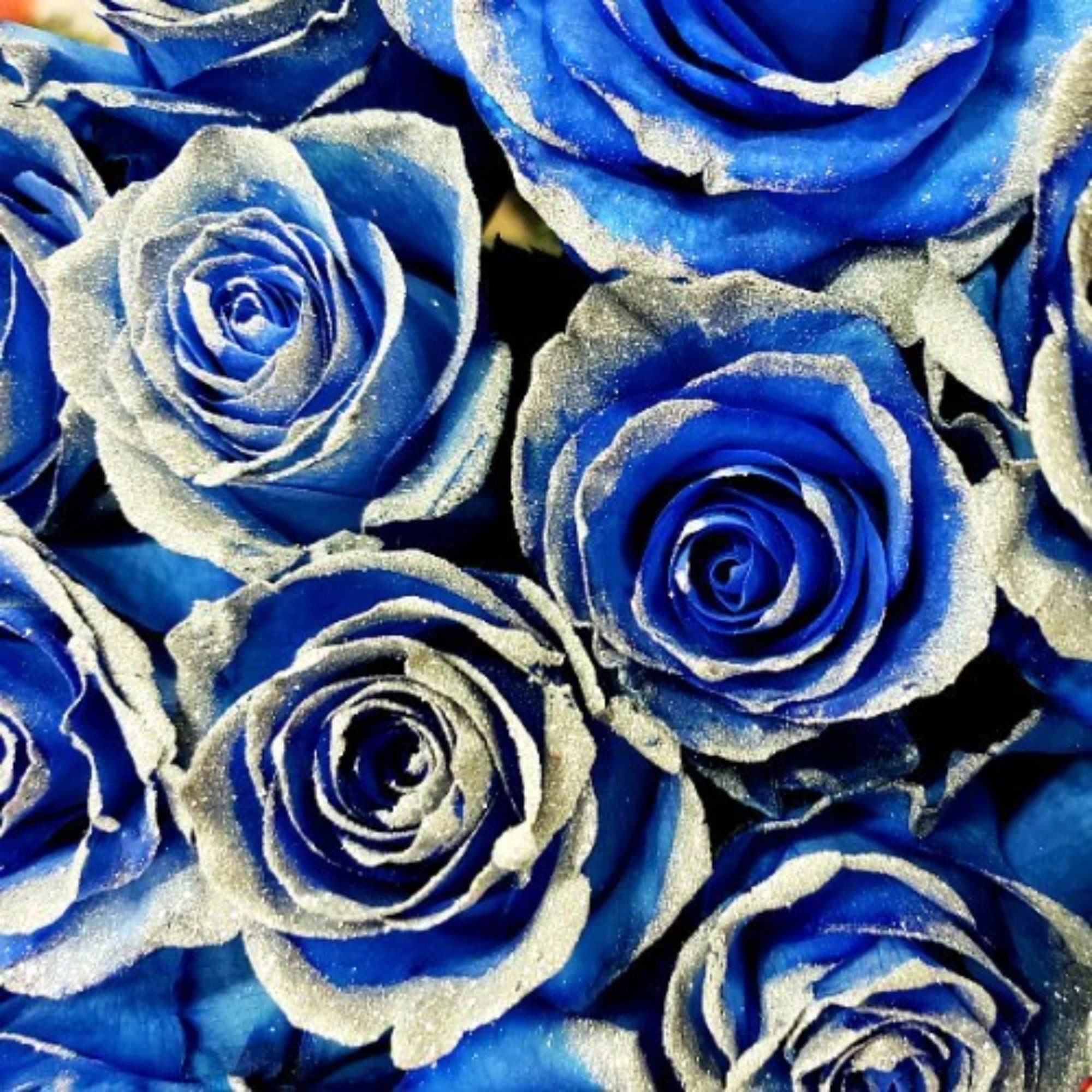 Glitz GLITTER Roses  Blue roses wallpaper, Rose flower wallpaper, Glitter  roses