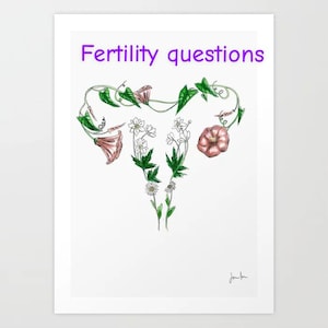 Fertility questions - same day (5 questions)