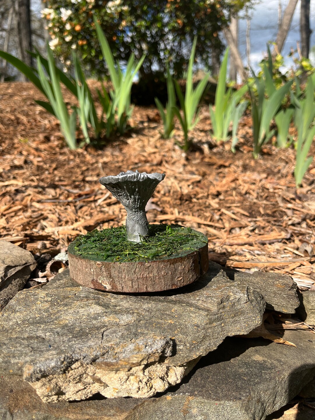 011: Conic Rho. - Etsy