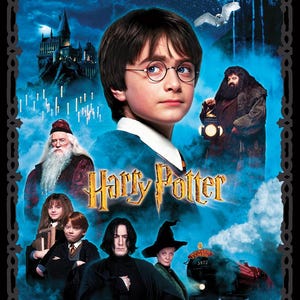 Harry Potter Fabric Panel – Wizarding World Character Cotton Panel 43/44” | Magical Movie Quilt & Craft Sewing Fabric