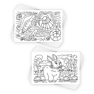 May include: A stack of blank coloring pages featuring two different designs. One page shows a seashell, starfish, and a spiral shell. The other page shows a rabbit in a forest setting.