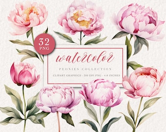 Watercolor Peonies png clipart, Digital PNG clipart, Floral bundle, Wedding invite card, Watercolor Floral clipart, Pink Peony clipart png