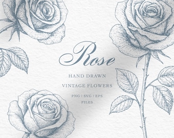 Rosas vintage para boda / Rosas dibujadas a mano / Clipart de rosas / Flores vintage dibujadas a mano / PNG SVG EPS / Descarga digital