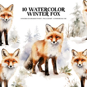 Aquarelle Winter Fox, Aquarelle Winter Forest, Aquarelle Poster Télécharger, Winter aquarelle fox clipart, Digital PNG clipart