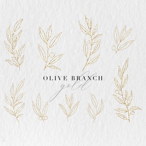 Olive Watercolor Clip Art Olive Branch Watercolor Clip Art - Etsy