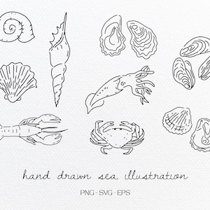 Può includere: Un'illustrazione in bianco e nero di varie creature marine, tra cui un granchio, un'aragosta, un calamaro, una conchiglia e un'ostrica. L'illustrazione è su uno sfondo bianco.
