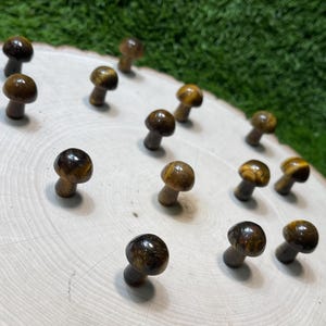 Tiger Eye MUSHROOM Carved Gemstone 0.75 Inch | 20mm | MUSHROOM Premium Grade Gemstones | Carved Crystal Animal
