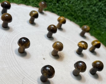 Tiger Eye MUSHROOM Carved Gemstone 0.75 Inch | 20mm | MUSHROOM Premium Grade Gemstones | Carved Crystal Animal