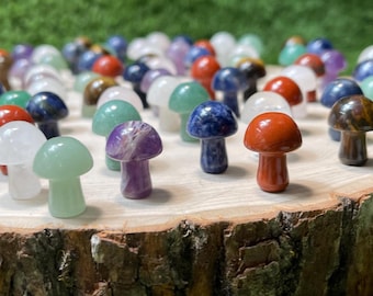 Carved Gemstone MUSHROOM Carved Gemstone 0.75 Inch | 20mm | MUSHROOM Premium Grade Gemstones | Carved Crystal Animal