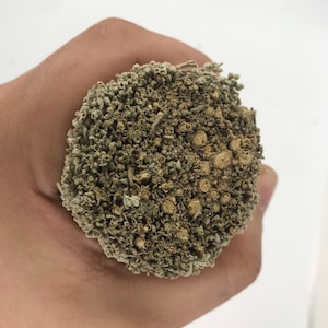 ORGANIC Wholesale BLUE Sage Smudge Sticks,2in diameter, 4 in or 9 in option Bulk Sage Bundle, Blue Sage Bundle at Wholesale Price,