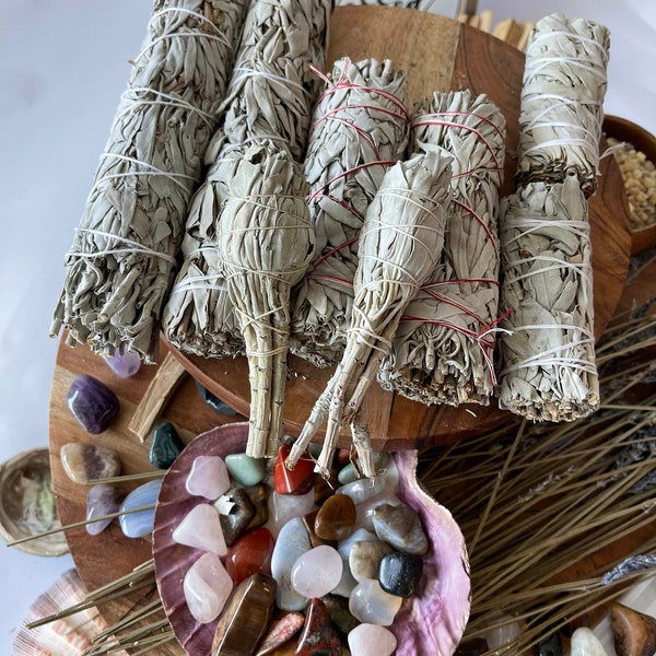 ORGANIC White Sage FREE SHIPPING Wholesale White Sage Smudge Sticks,2-2.5in diameter,4in,6in,9in length, Bulk Sage Bundle, White Sage