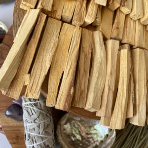 Organic Wholesale Palo Santo Sticks from PERU,0.5in diameter Bulk, Palo Santo at Wholesale Price, FREE SHIPPING image 6