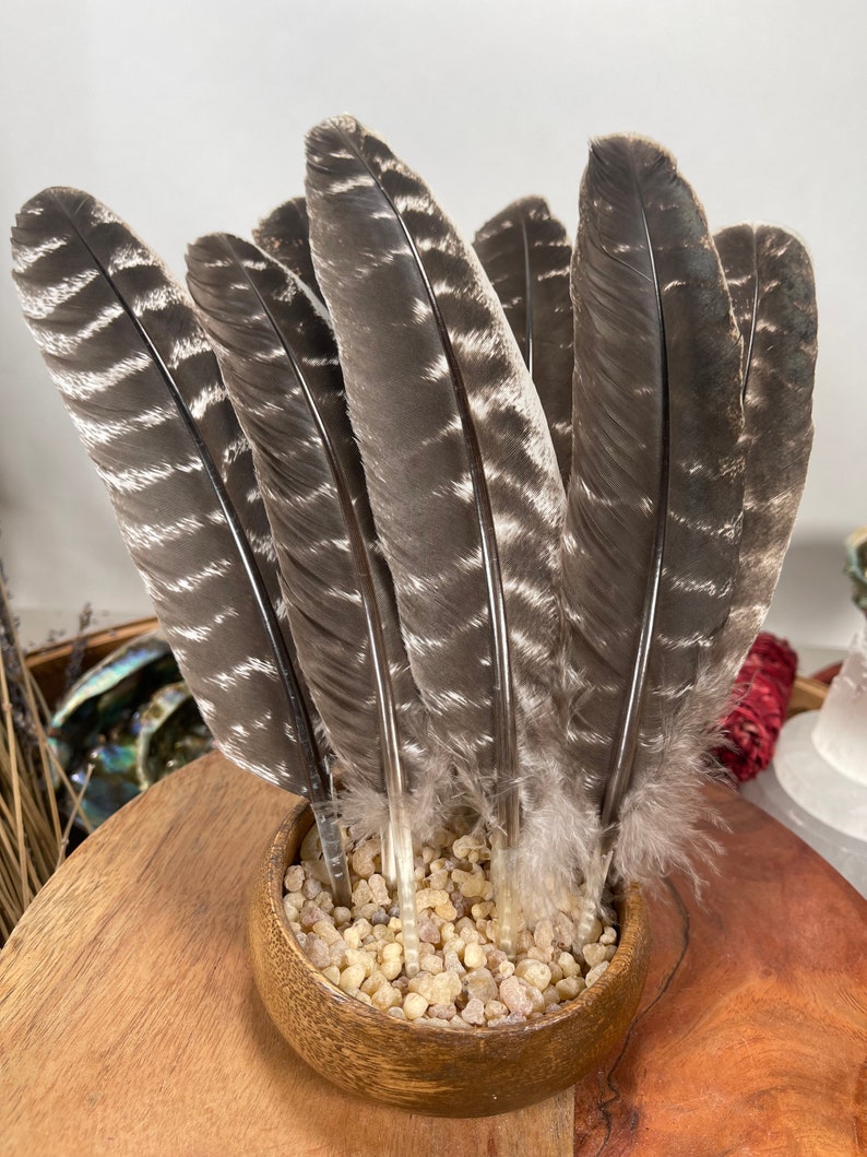 May include: A set of six brown and white turkey feathers in a wooden bowl filled with small, white, and clear stones.
