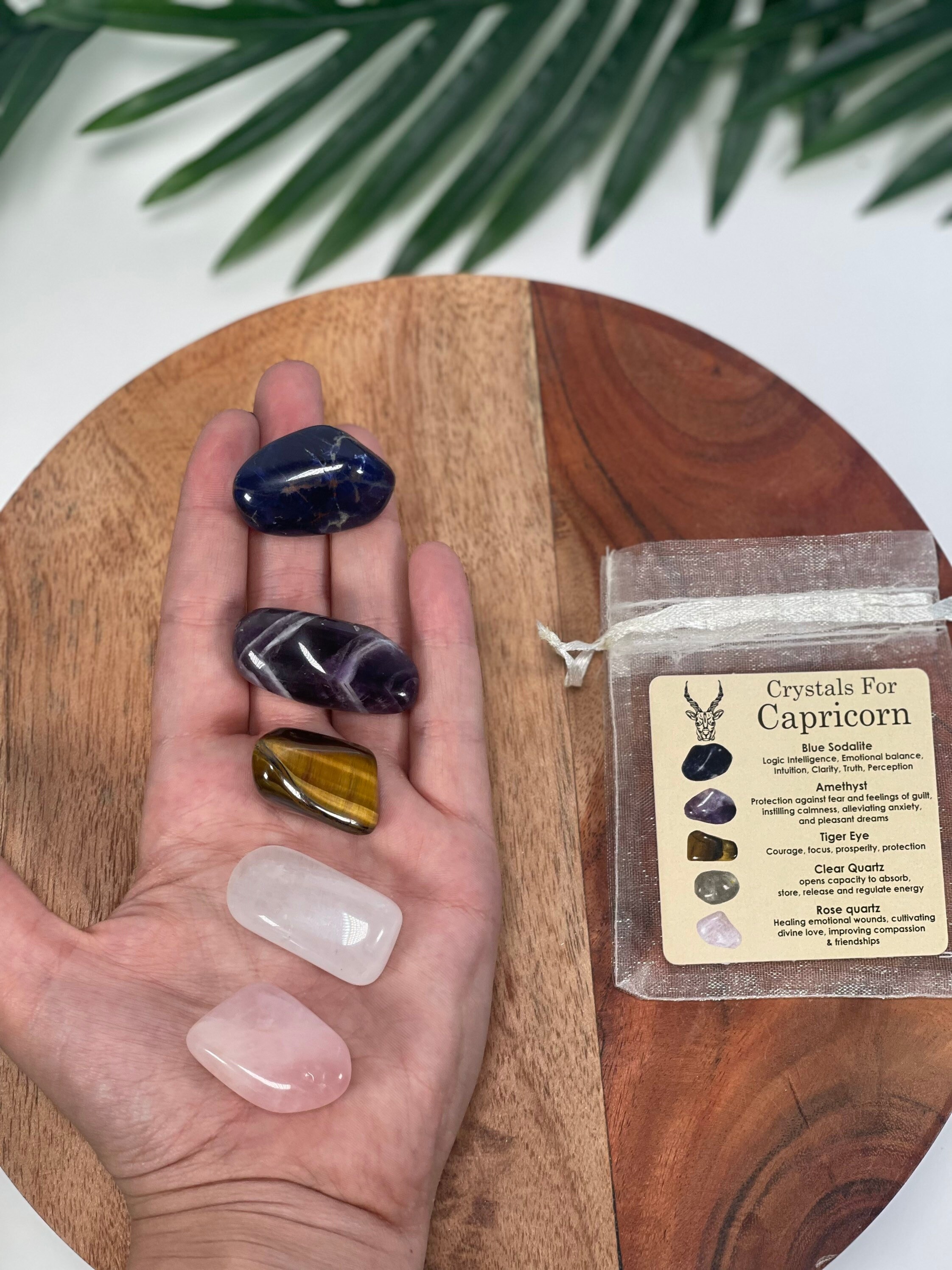 CAPRICORN Crystal Set, 5x Crystals Set for Capricorn(blue Sodalite ...