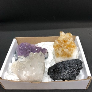 May include: A white box containing four different types of crystals: amethyst, clear quartz, citrine, and black tourmaline.