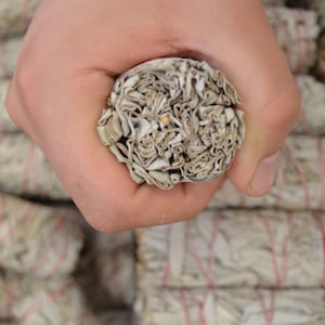 ORGANIC White Sage Smudge Sticks I Sage High Quality 2 side cutted