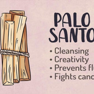 Organic Wholesale Palo Santo Sticks from PERU,0.5in diameter Bulk, Palo Santo at Wholesale Price, FREE SHIPPING image 9