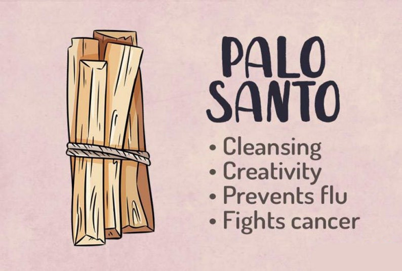 Organic Wholesale Palo Santo Sticks from PERU,0.5in diameter Bulk, Palo Santo at Wholesale Price, FREE SHIPPING image 9