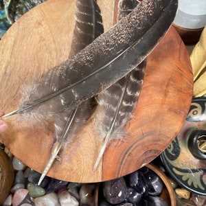 Natural Turkey Feathers, Smudging Feathers, Feathers For Smudging or Decoration, Ethically sourced feathers, Spiritual Feathers. image 5