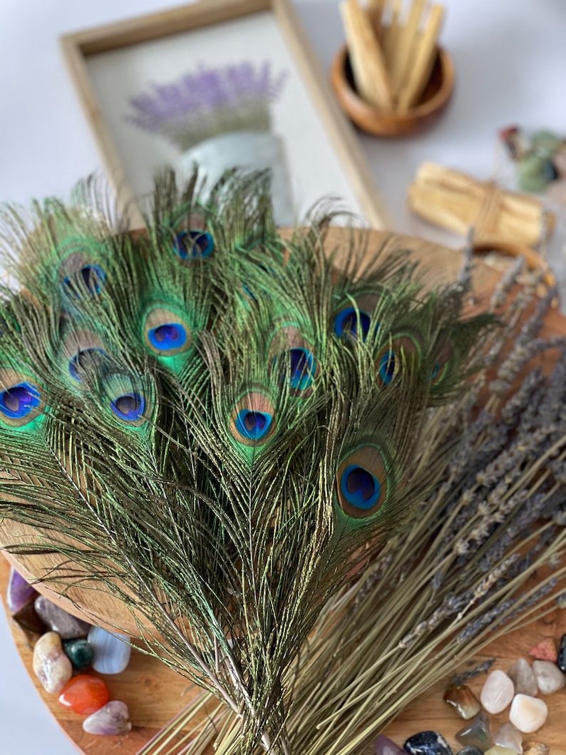 USA Natural PEACOCK FEATHERS, 10 12 Big Eye Natural Peacock Tail, Iridescent Peacock Tail, Iridescent Peacock Eye Tail, Peacock Eye Tail image 6