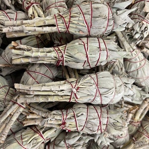 ORGANIC FREE SHIPPING Wholesale Torch sage Smudge Sticks,1.5-2in diameter,4inlength,Bulk Sage Bundle ,White Torch Sage Bundle
