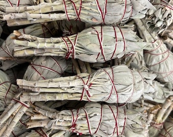 ORGANIC FREE SHIPPING Wholesale Torch sage Smudge Sticks,1.5-2in diameter,4inlength,Bulk Sage Bundle ,White Torch Sage Bundle