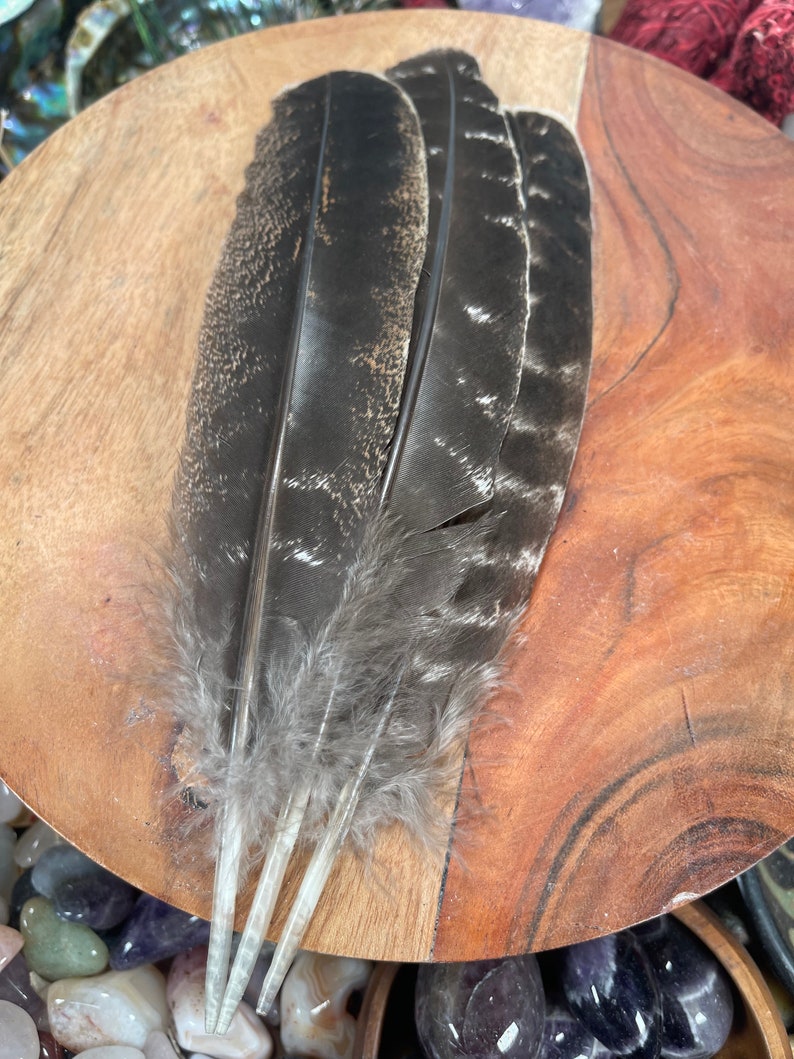 May include: Three dark gray feathers with white tips, arranged on a wooden surface.