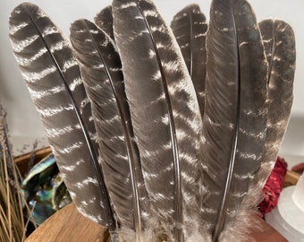 Natural Turkey Feathers, Smudging Feathers,  Feathers For Smudging or Decoration, Ethically sourced feathers, Spiritual Feathers.