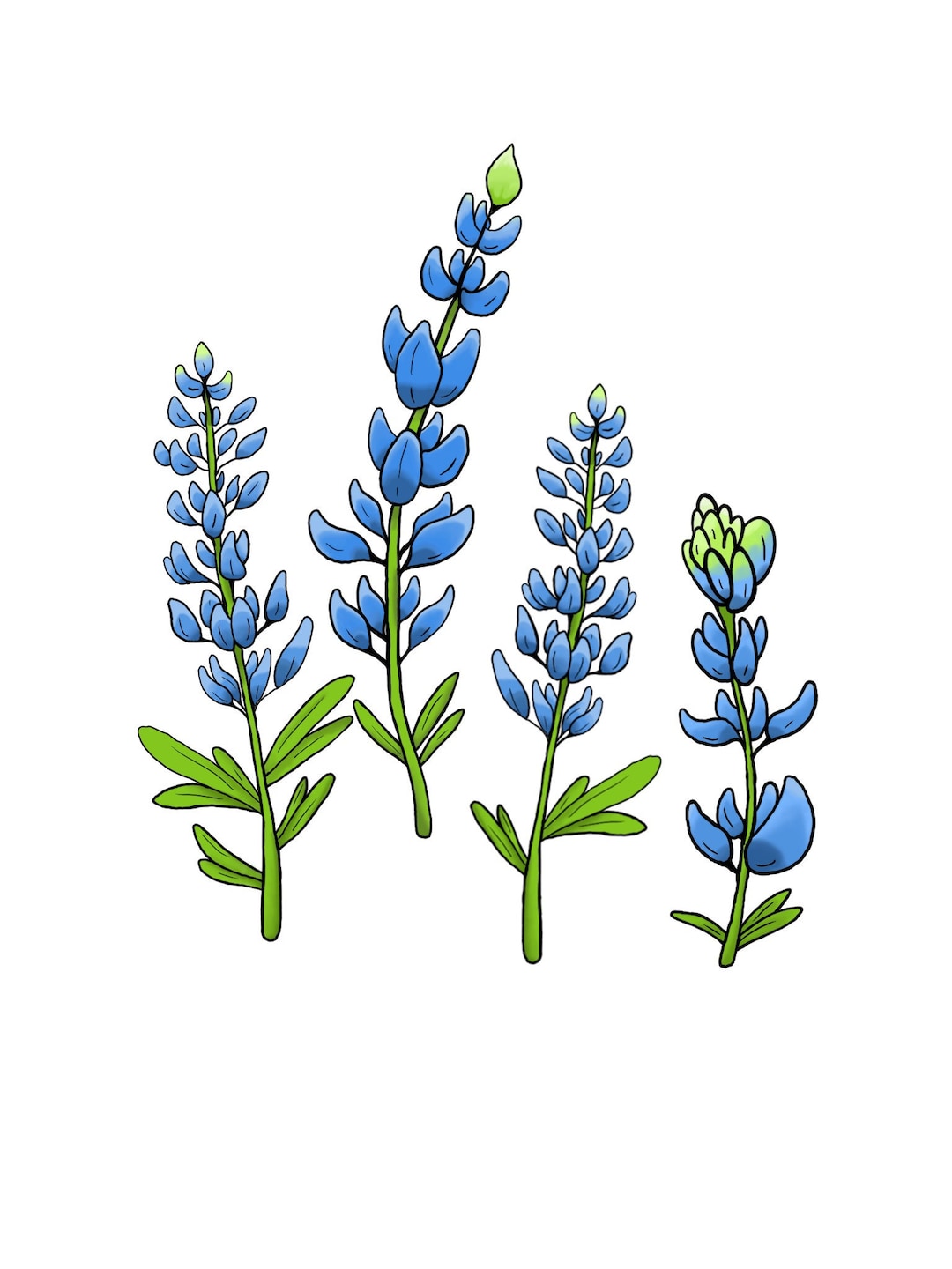 Bluebonnet Outline Svg - vrogue.co