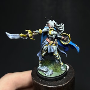 May include: Miniature fantasy figure of a female warrior in silver armor, wielding a sword and shield. The figure has white hair, horns, and a blue cape. The base features grass and rocks. The figure is painted with detailed shading and highlights.