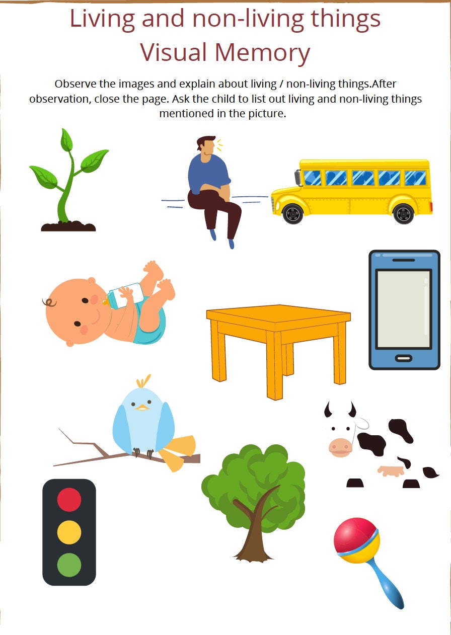 Kids Printable Worksheetsvisual Memory Activities Etsy