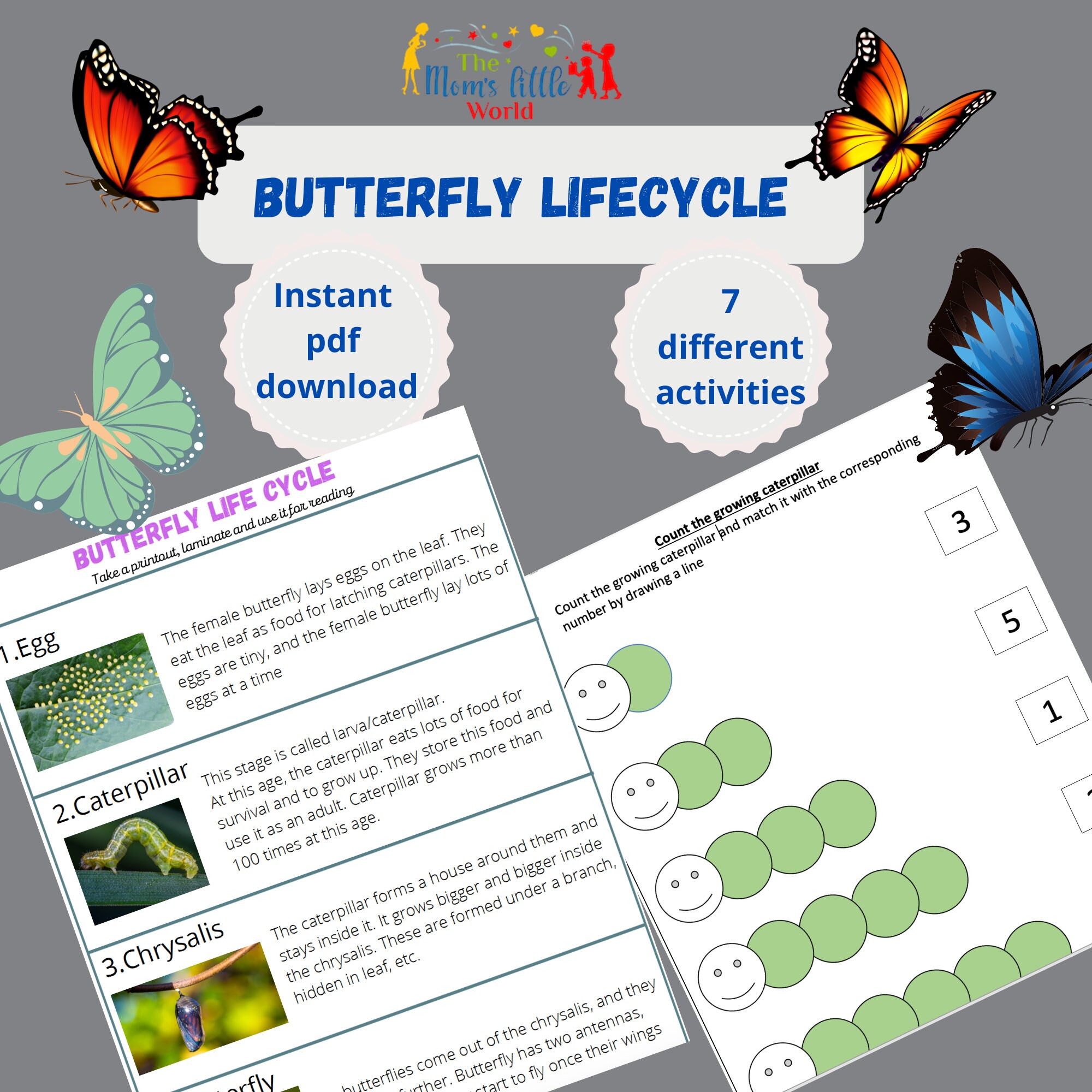 butterfly life cyclepreschool printablelife cycle of etsy