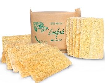 Natural Loofah Kitchen Sponge (XL - 10 Pack) - Natural Sponges for Dishes - Eco Friendly and Compostable Sponges - Biodegradable Dish Sponge