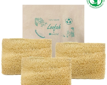 LooLife Natural Loofah Sponge (3 Pack) - Compostable & Biodegradable Sponge - Vegetable Sponge