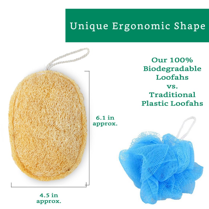 100% Natural Loofah Exfoliating Pad 3 Pack Loofah Body Scrubber Loofah Sponge Organic Biodegradable Loofah Exfoliating Body Sponge image 2
