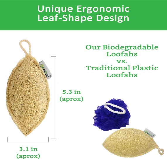 100% Natural Loofah Exfoliating Pad 8 Pack 2 X 4 Pack Loofah Body