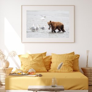Coastal Brown Bear / Bear / Lake Clark National Park / Alaska Photography / National Park Print / Alaska