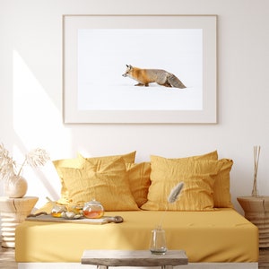 Red Fox Wall Art / Fox / Yellowstone National Park / Wyoming Photography / National Park Print / Wyoming