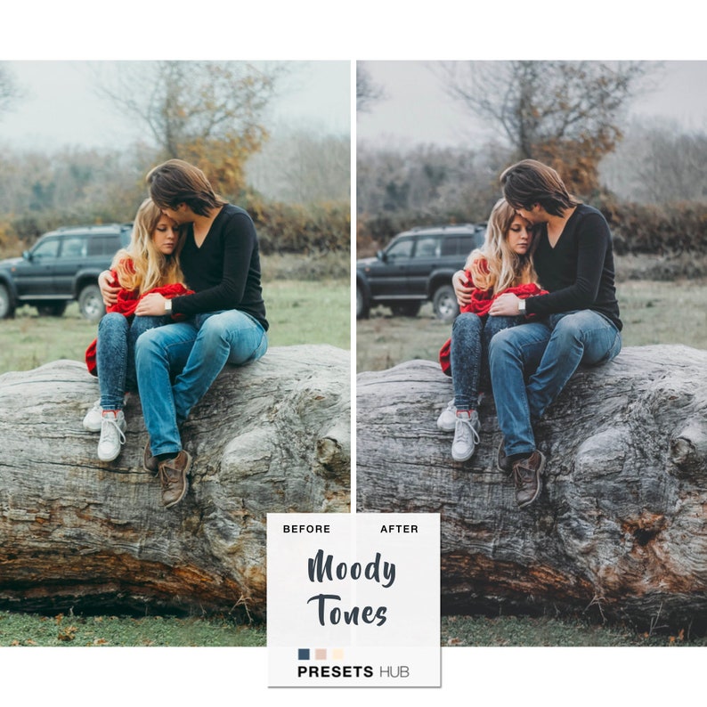 moody preset lightroom moody preset lightroom