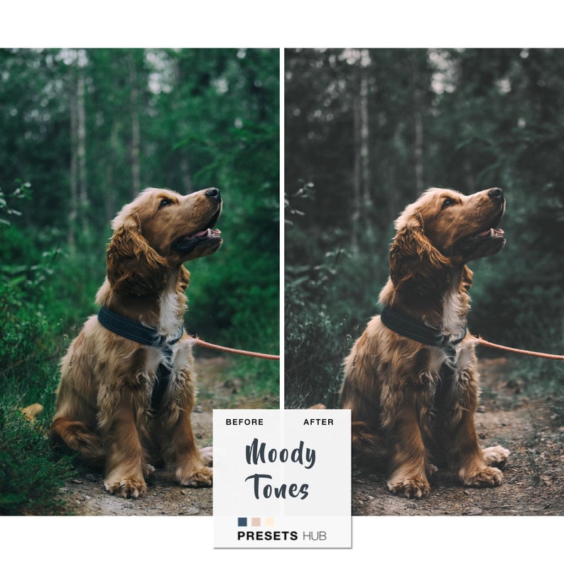 moody preset lightroom moody preset lightroom