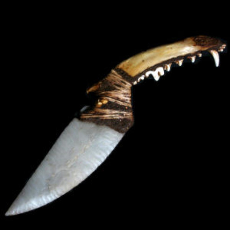 Native American Coyote Jaw Bone Knife Etsy