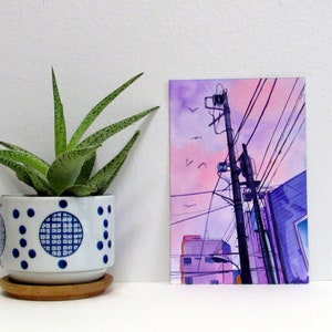 Shades of Lavender
