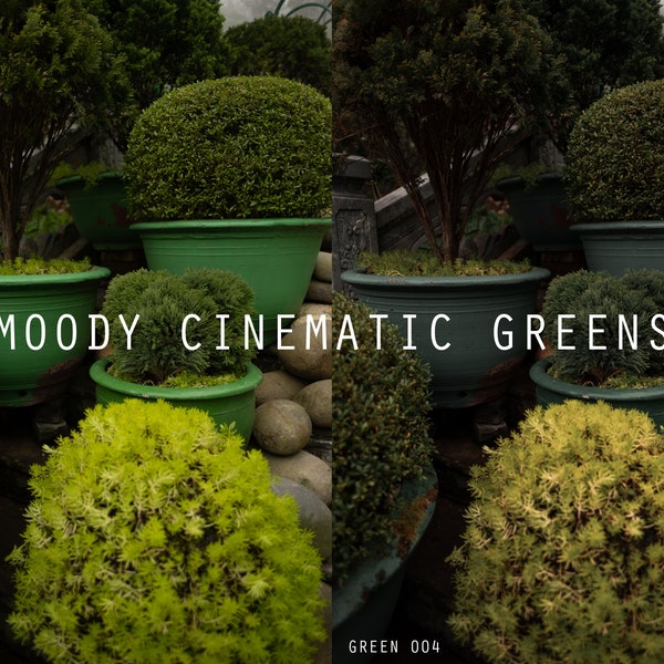 4 Instagram Moody Cinematic Forest Green Filter for Adobe Lightroom