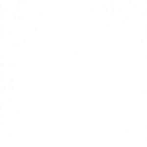 Blank