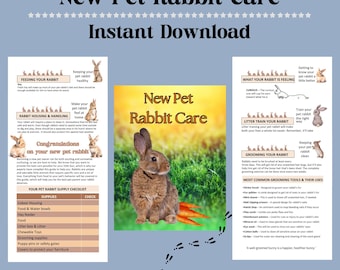 Rabbit Care Guide: Housing, Feeding, Grooming & Training Tips - Instant PDF Download