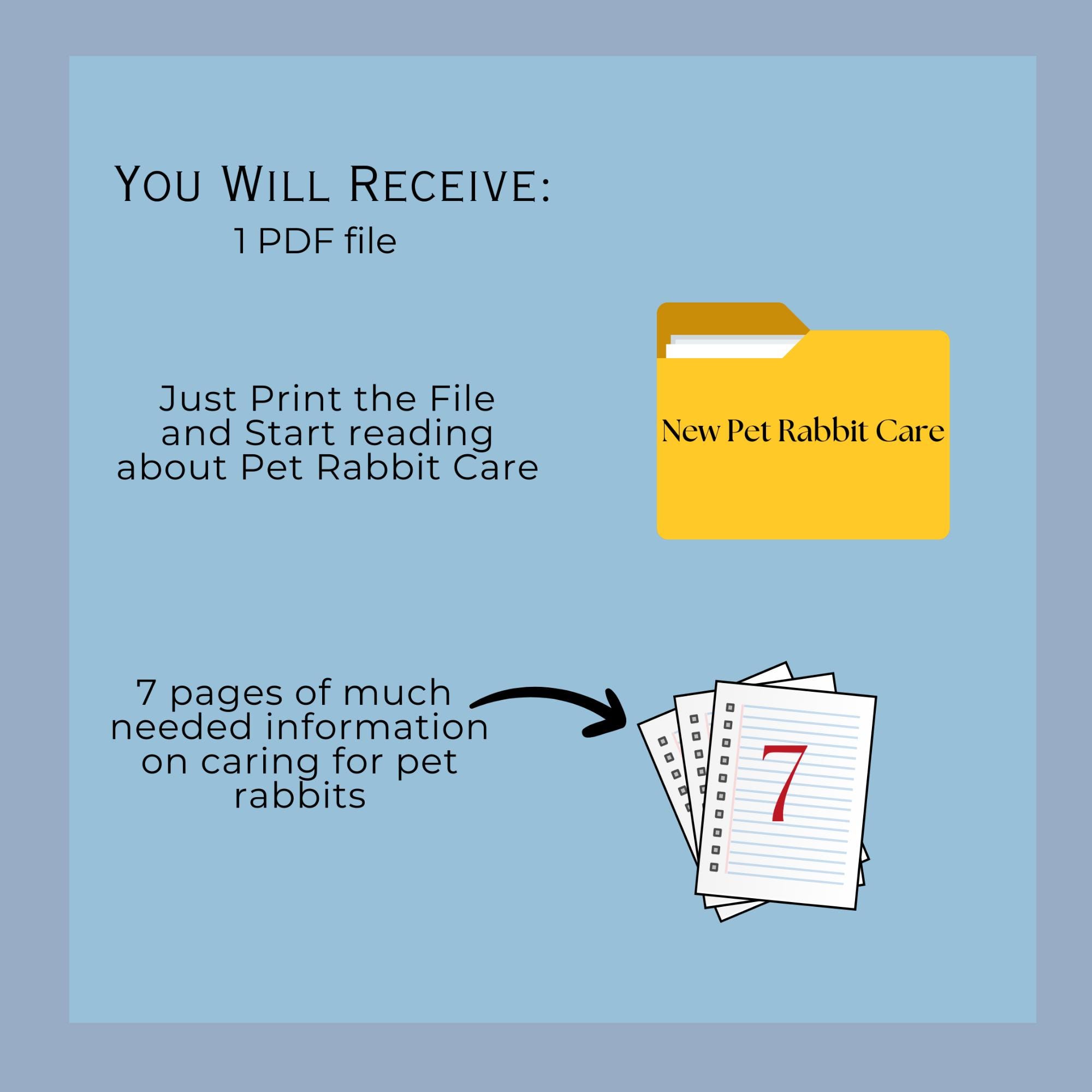Rabbit Care Guide Example Rabbit Care Guide: Housing, Feeding, Grooming & Training Tips - Instant ...