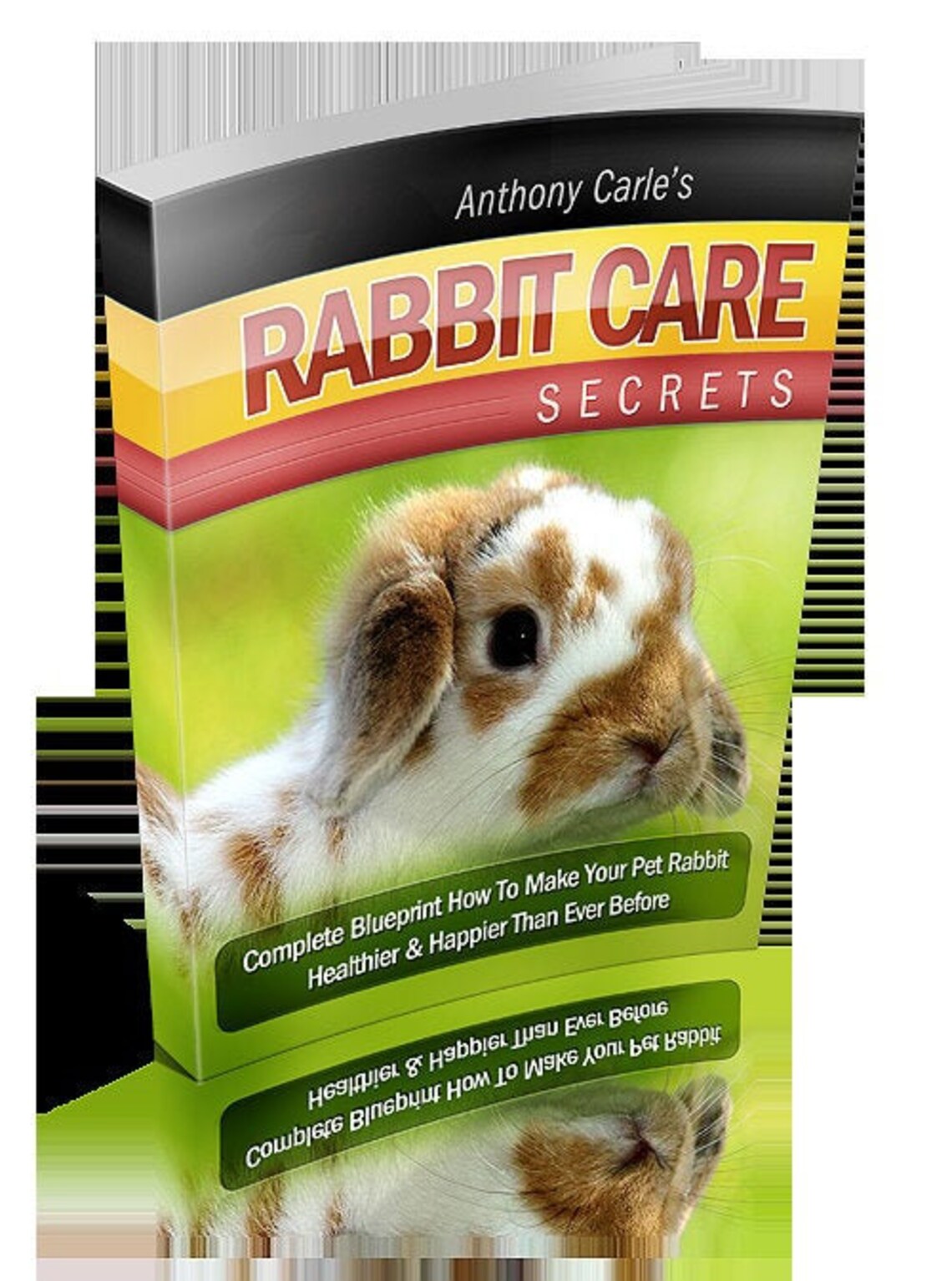 Rabbit Care / 100 Page Printable Book - Etsy