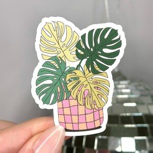 Monstera Aufkleber | Geschenk für Pflanzenliebhaber | Pflanzenmama | Wasserfester Vinyl-Aufkleber | Gartenarbeit