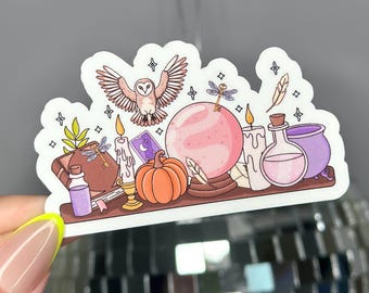 Witchy Bookshelf Sticker, Spooky Fall Stickers, Water Bottle Sticker