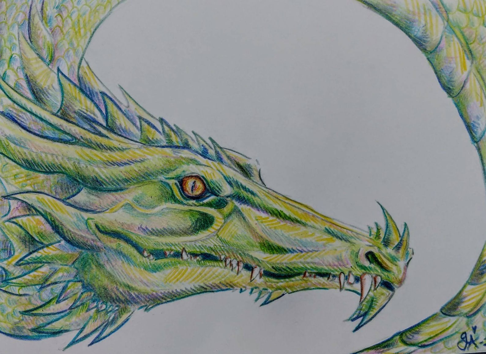 Green Dragon Colored Pencil Drawing Illustration Fantasy Etsy